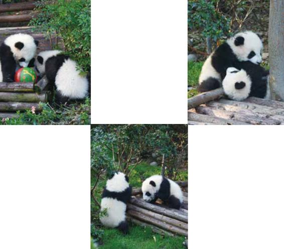 如果事事都如意，那就不叫生活了