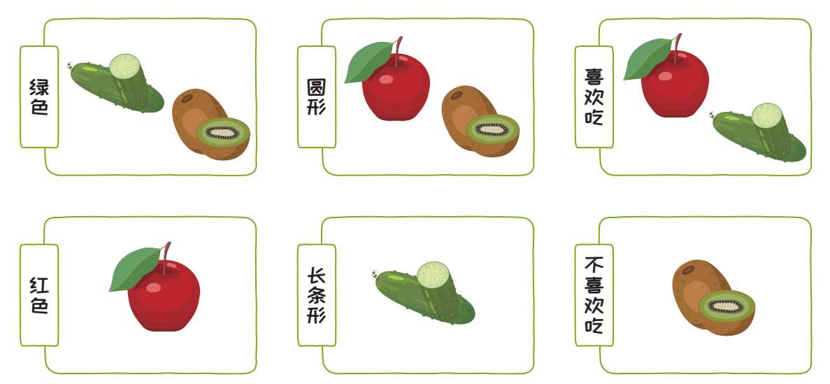 图4-7 为苹果、黄瓜、猕猴桃的分类命名