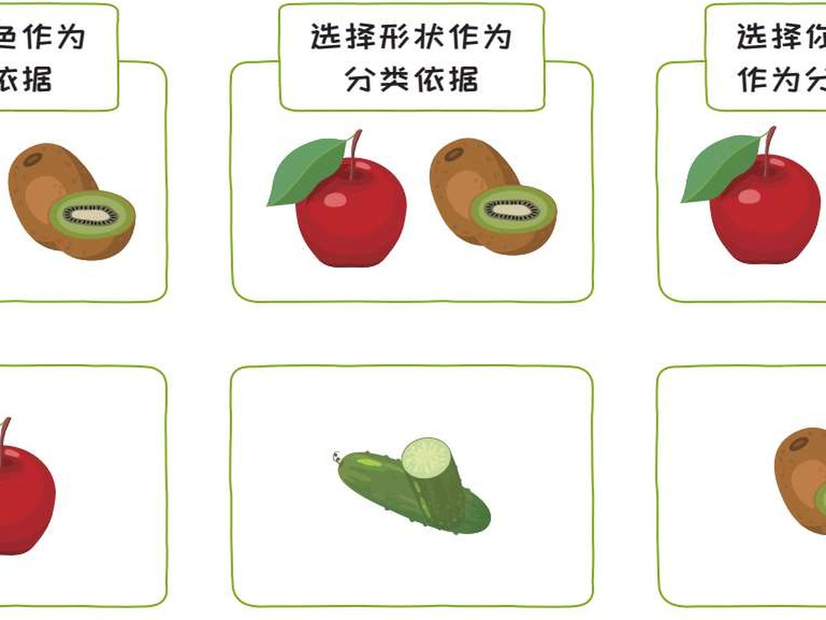 ▲图4-6 苹果、黄瓜、猕猴桃的分类依据