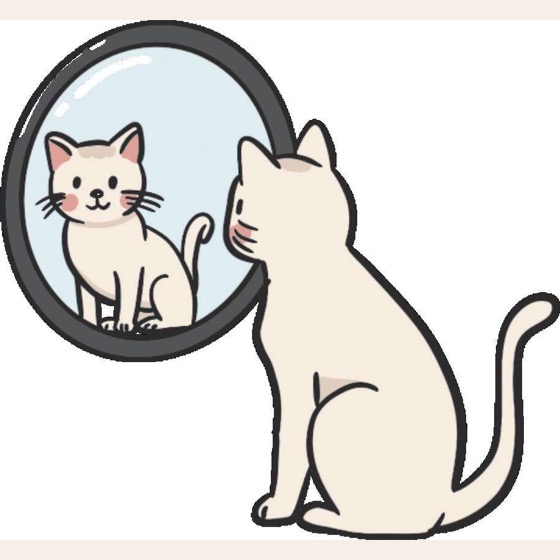 能量感比面子感更重要