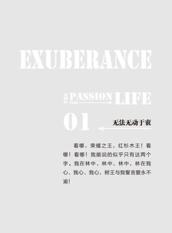 原书图片 5