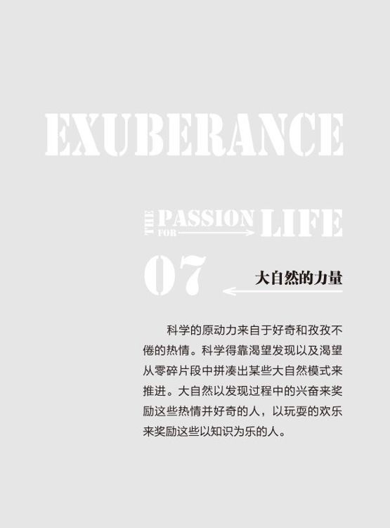 原书图片 11