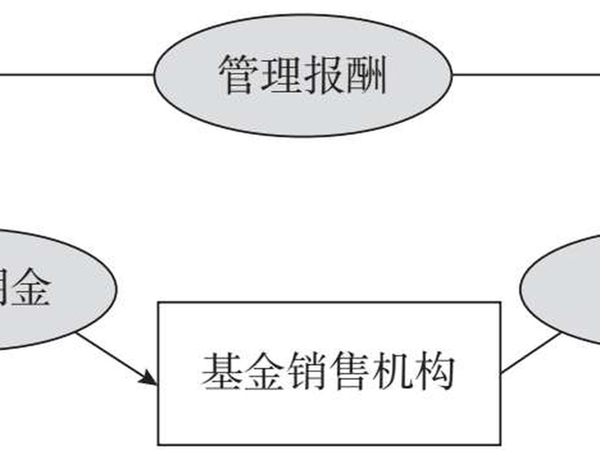 图6.3 “卖方的顾问”模式