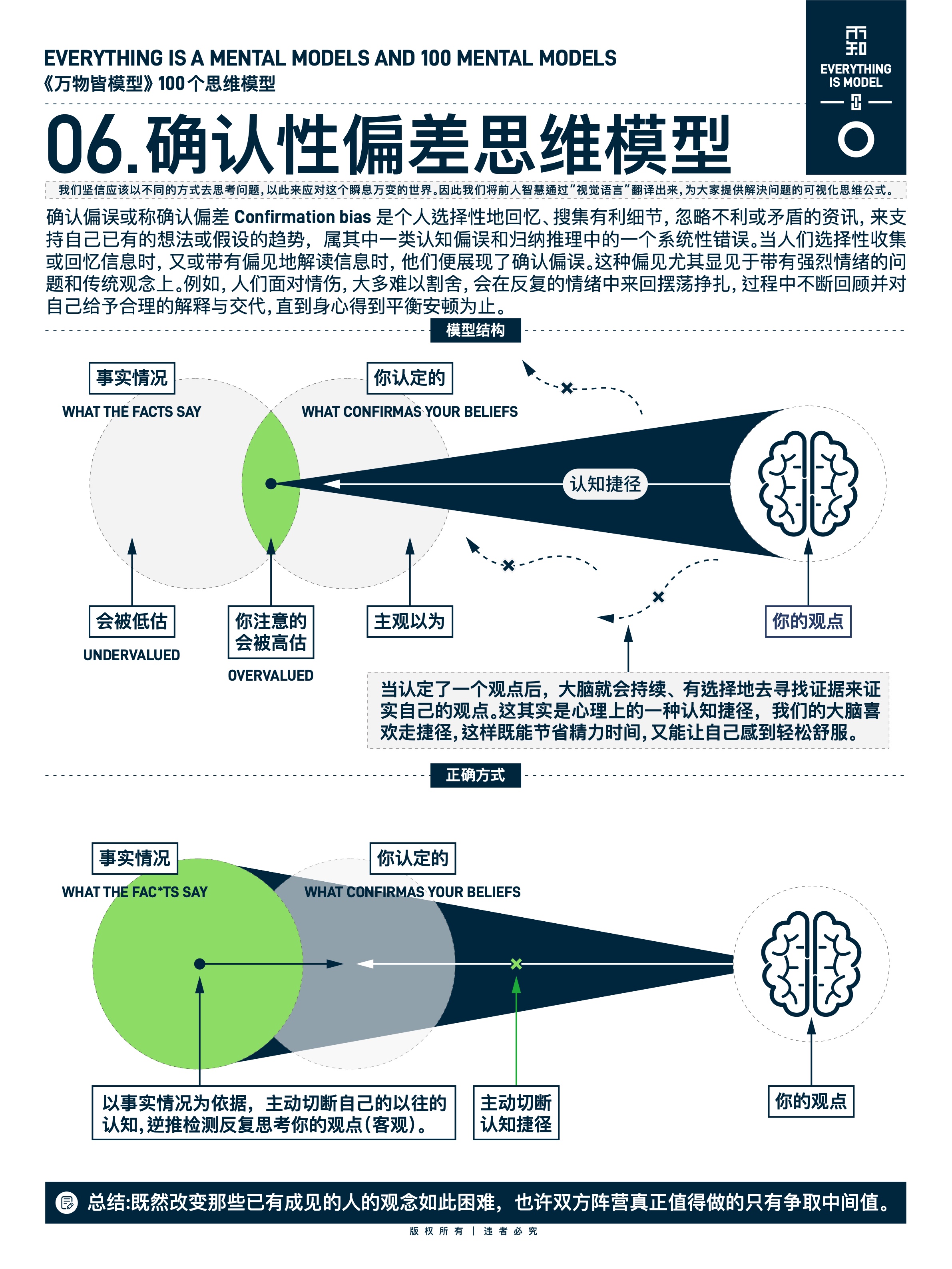 图版 06 确认偏误