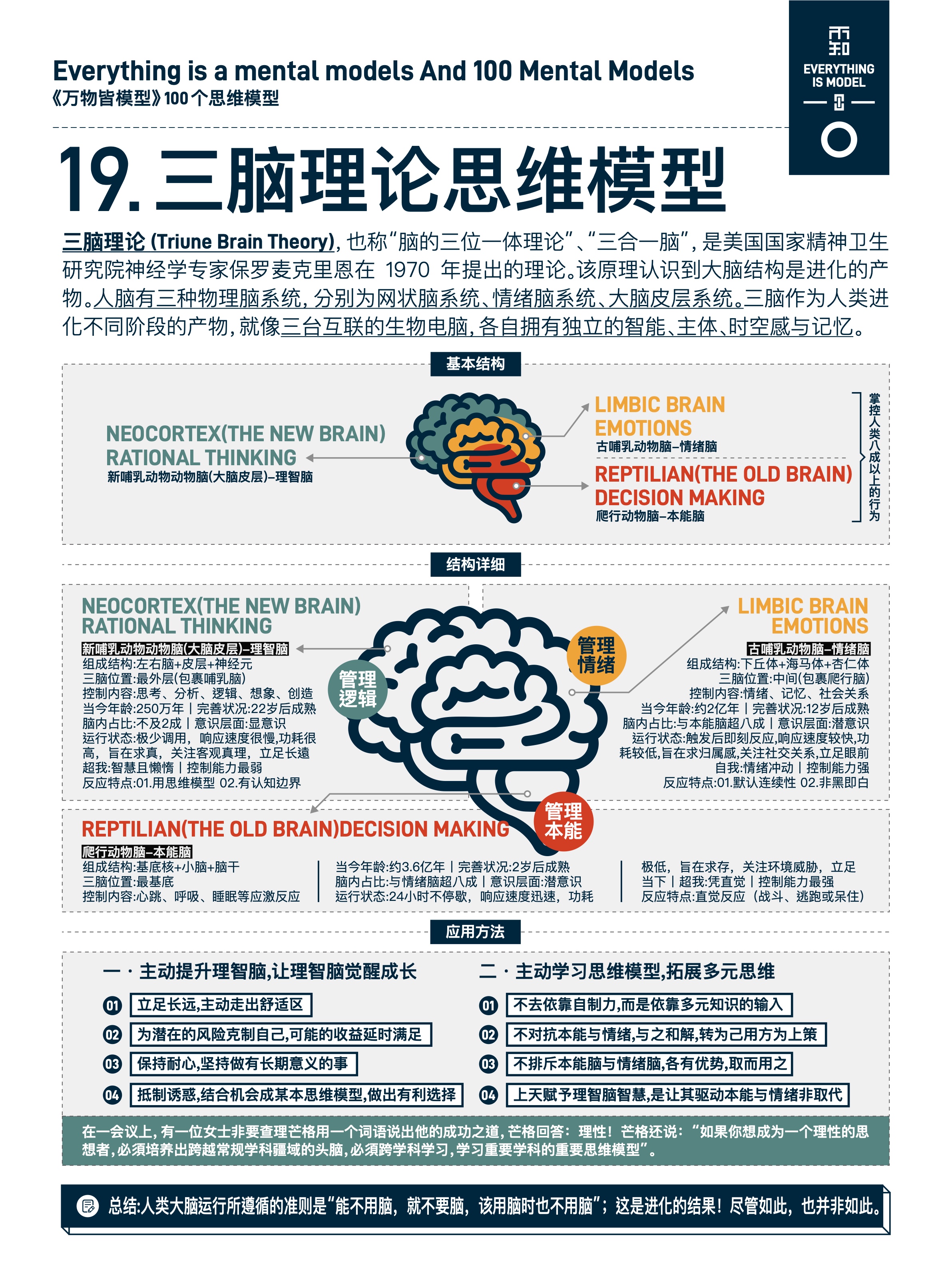 图版 19 大脑系统