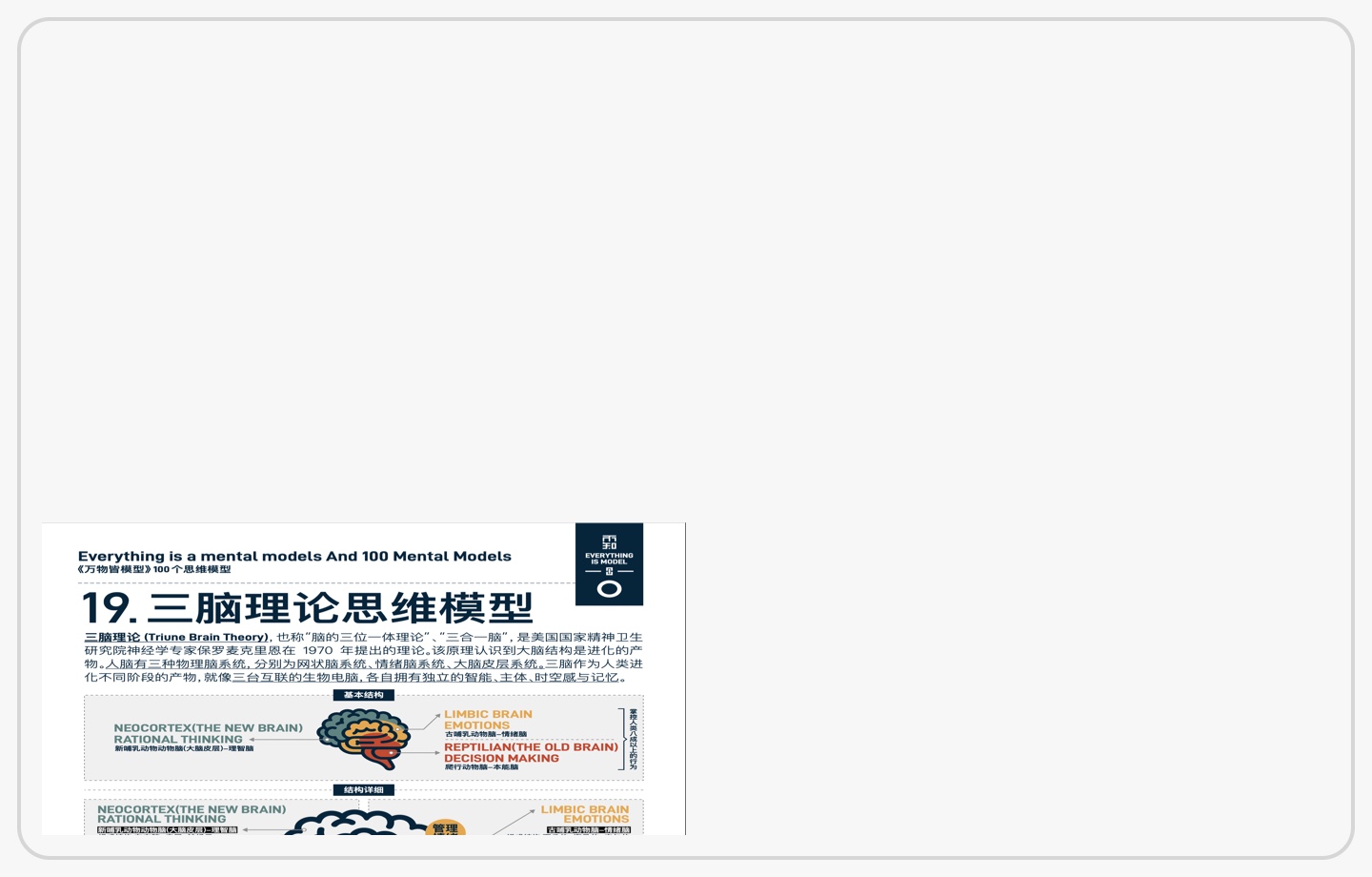 大脑系统