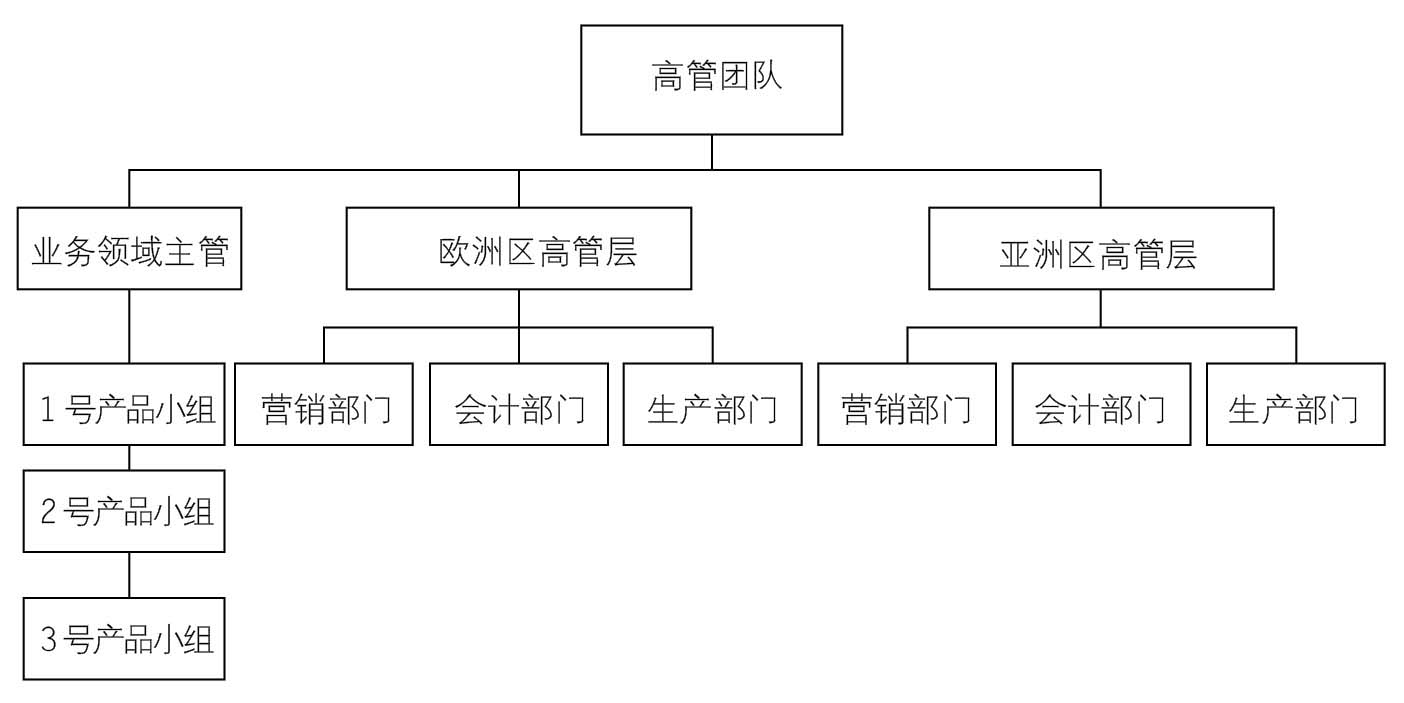图4-5 矩阵型组织结构图