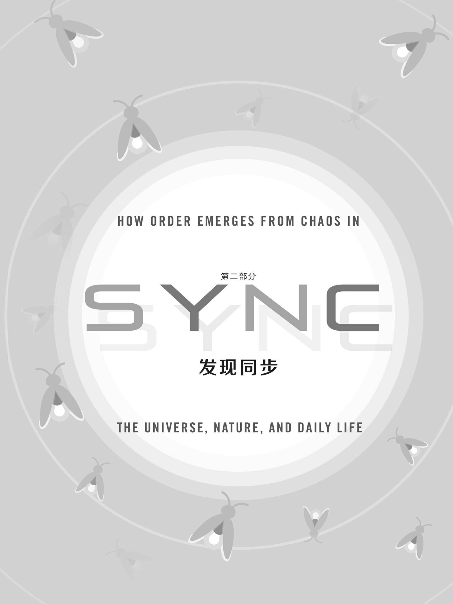 分段扉页：跨尺度的同步