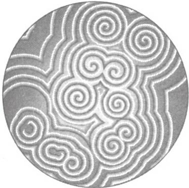图8-1 佩斯利花纹