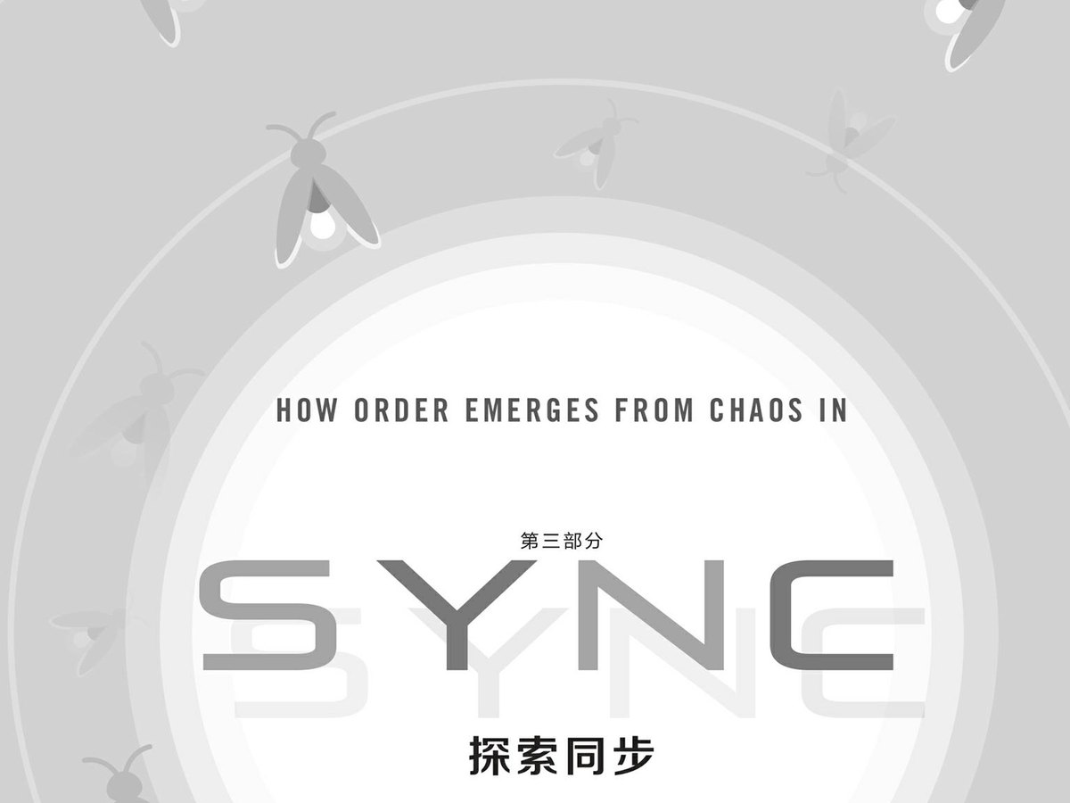 分段扉页：非线性与复杂性