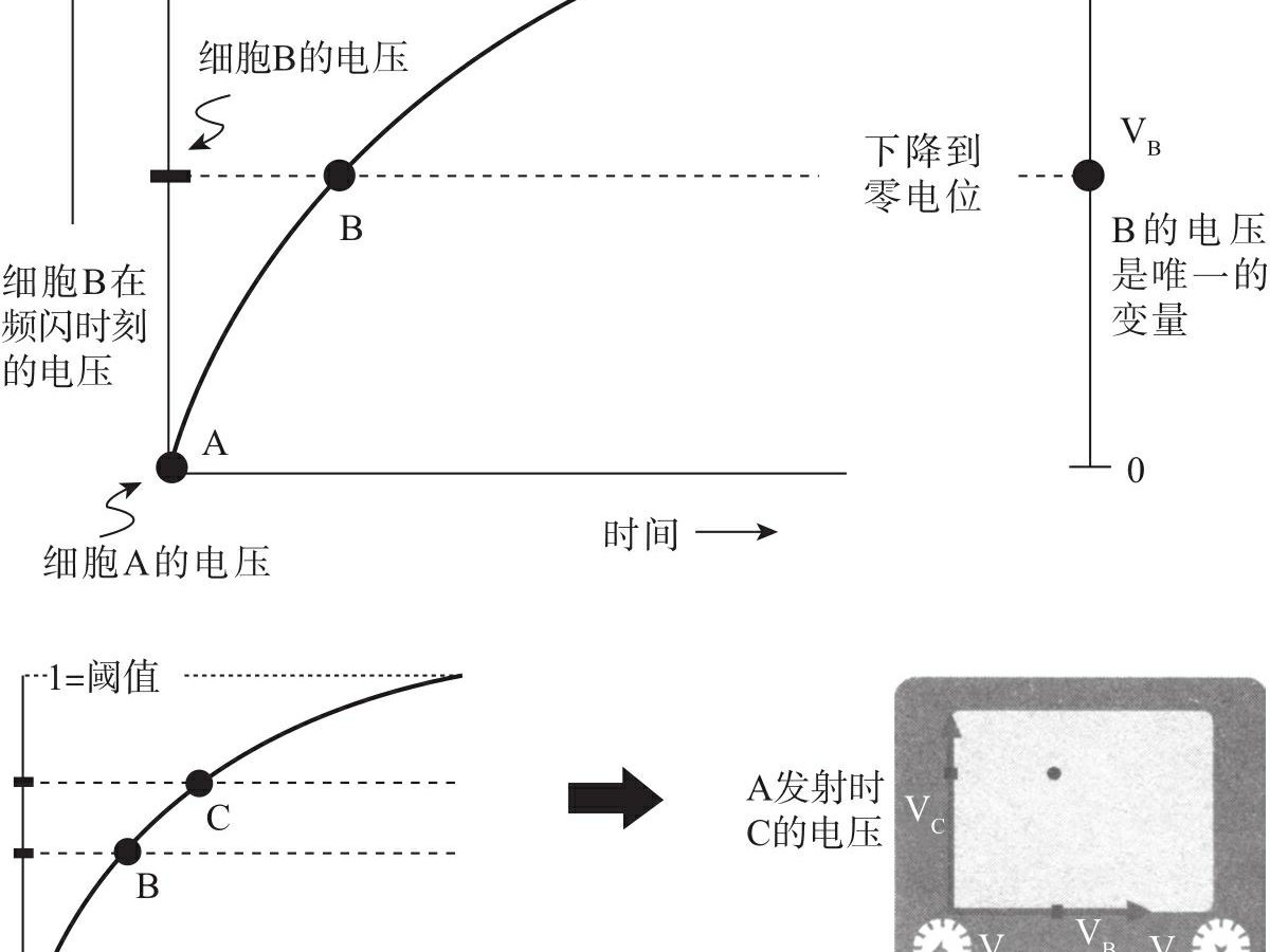 图1-2 3个振子同步模拟示意（续）