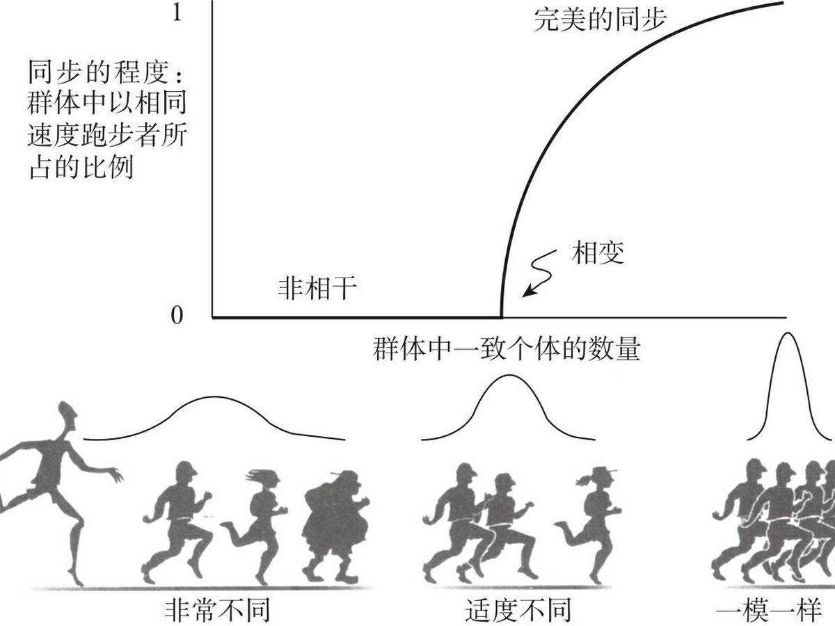图2-3 不同跑步俱乐部中成员同步程度