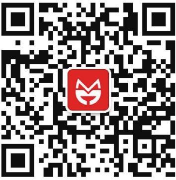 附录2： 城市数据团工作方法简介 图版3