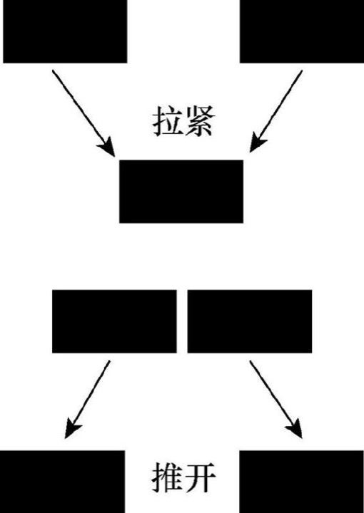 两极化