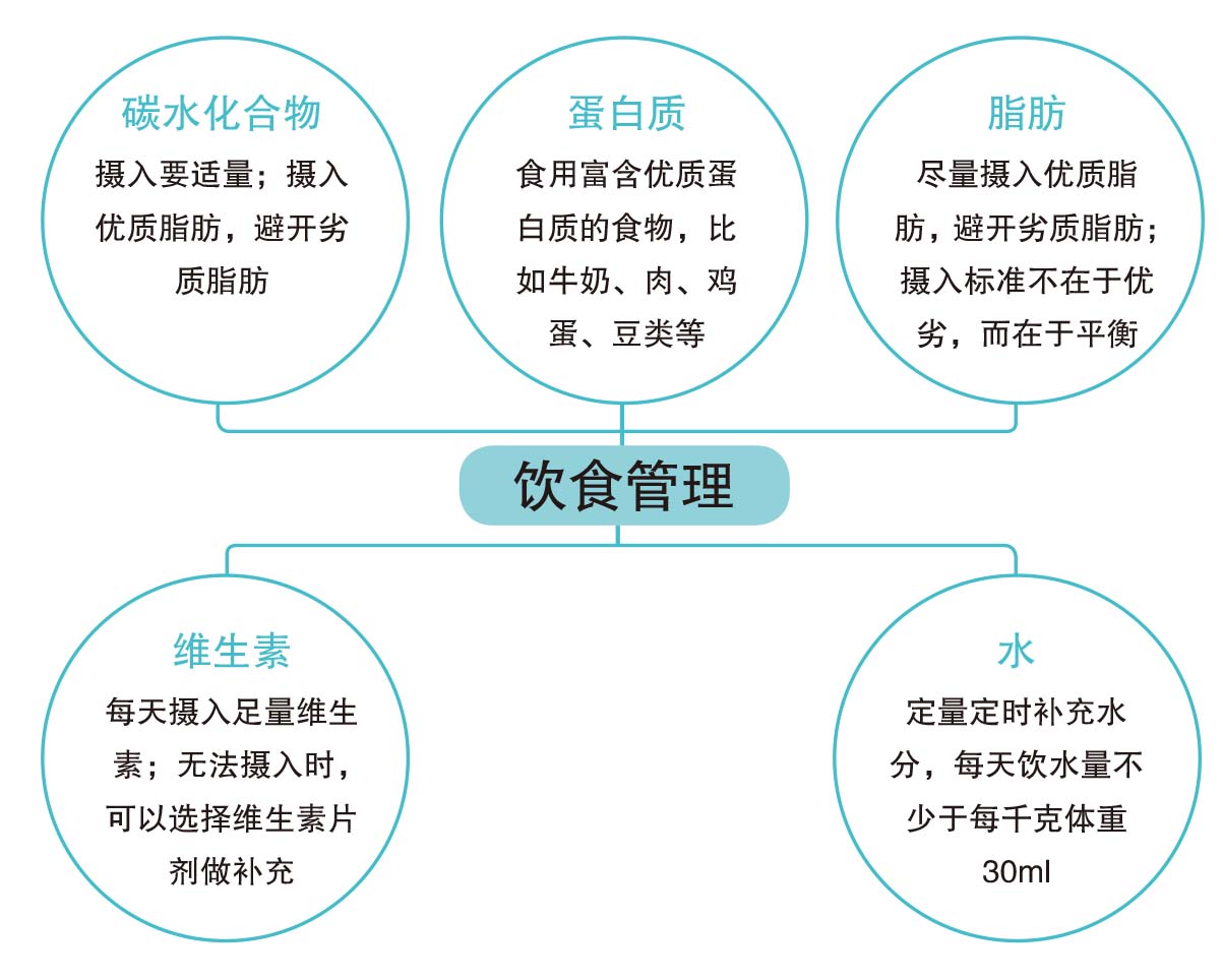 饮食搭配的精力回报