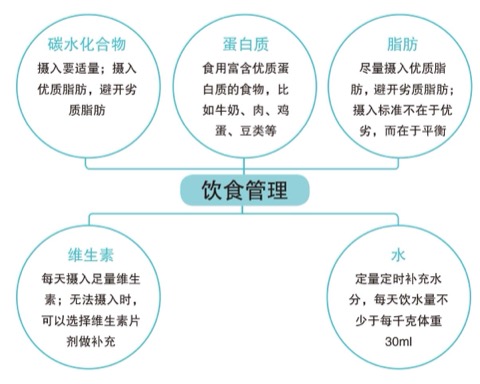 饮食搭配的精力回报