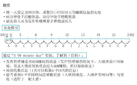 人为何会犯困？