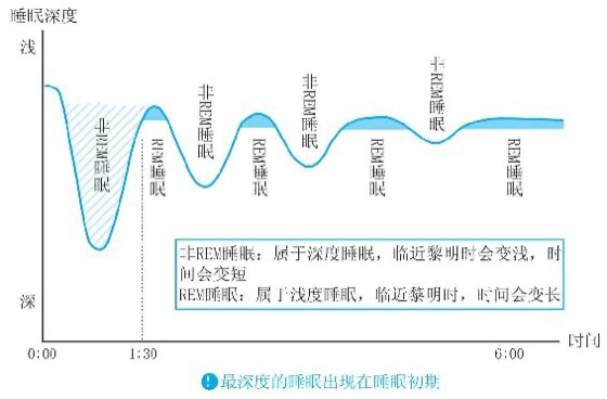 黄金90分钟：培养最强大脑和体魄