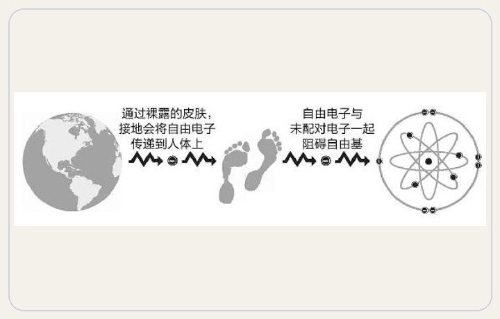 炎症一族