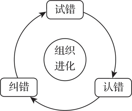 组织之本 图版 5